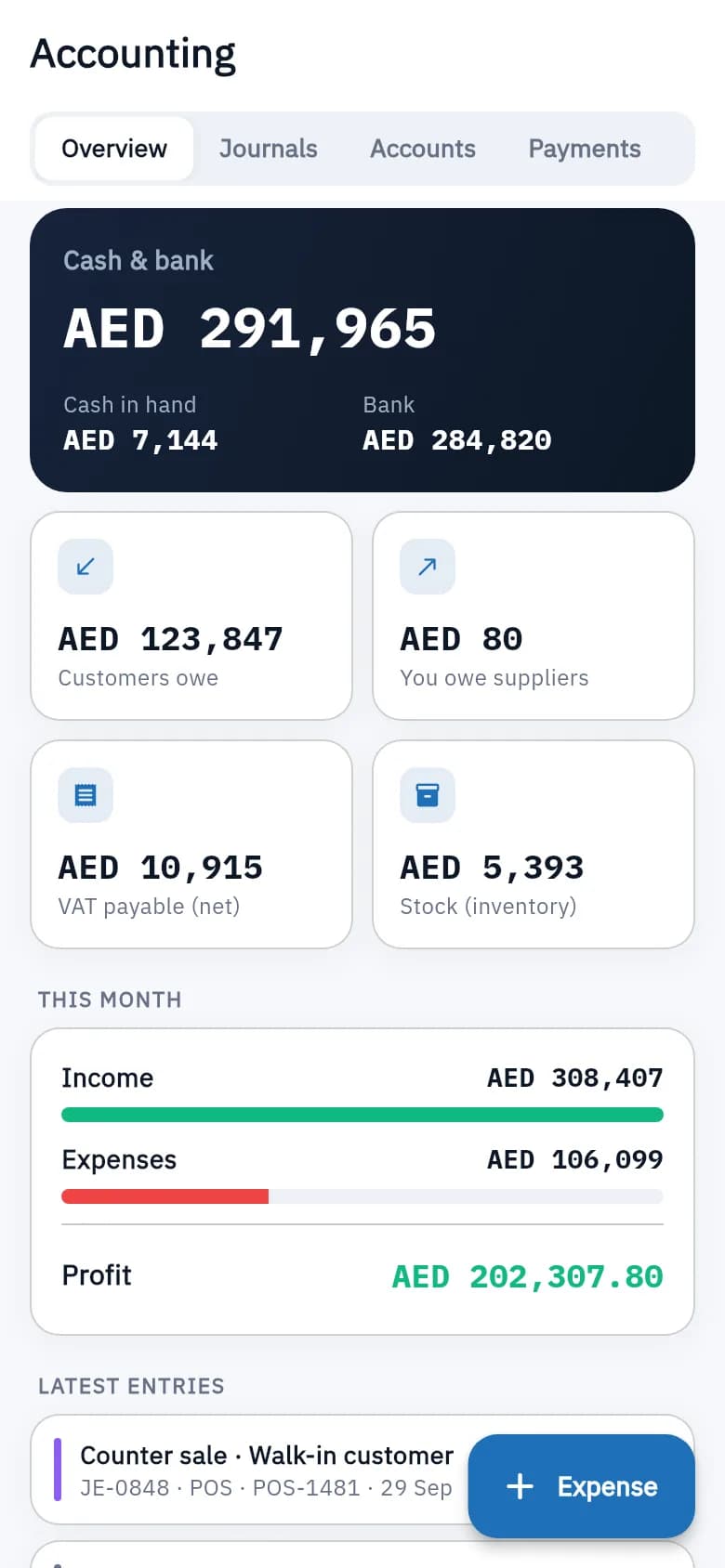 Accounting screen on iPhone, light mode